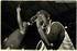 Gallery 2: From The Archive: Heroes